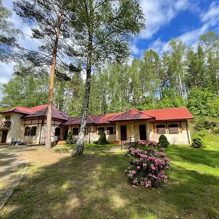 Lesny Gaj Kliczków